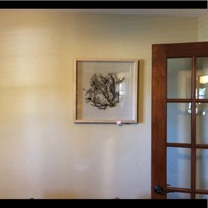 Framed coral (tan/brown)